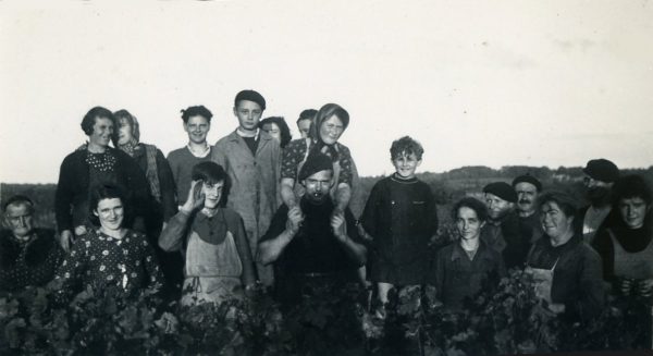 tem-m-lizot-auvillers-vendanges-a-pissotte-en-10-1940-en-bas-a-g-odette-gobron-ep-lizot-mere-de-michel